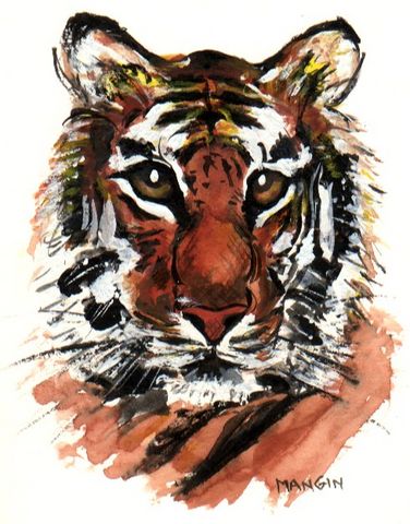 tigre1